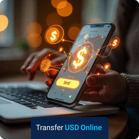 transfer usd online