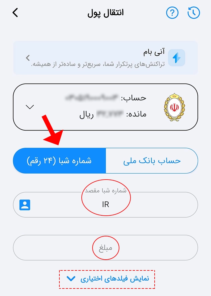 شماره شبا و مبلغ