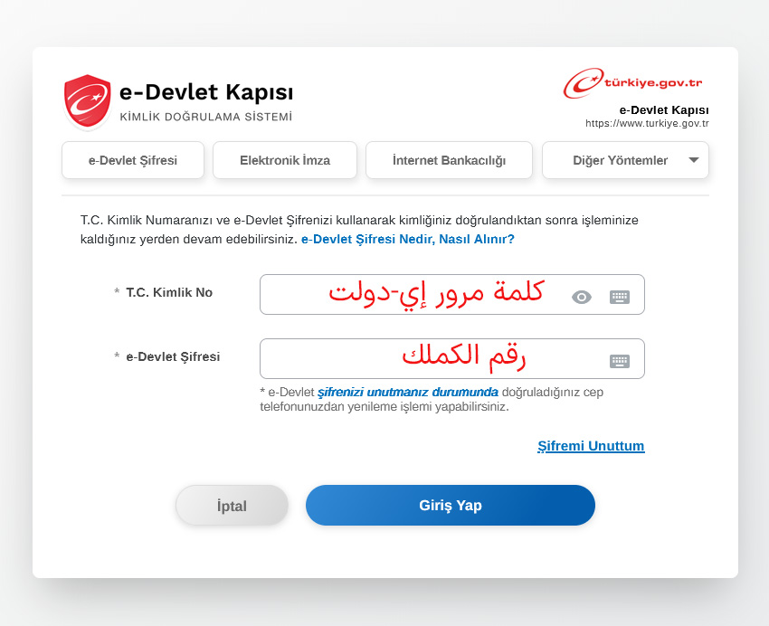 التسجيل في إي-دولت تركيا