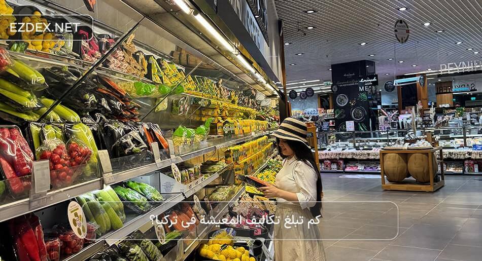 تكاليف المعيشة في تركي