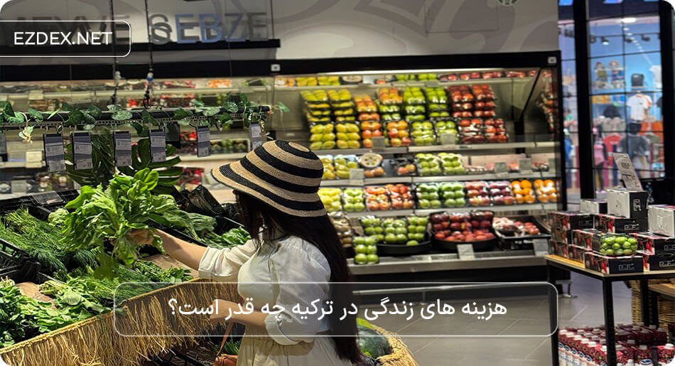 هزینه زندگی در ترکیه